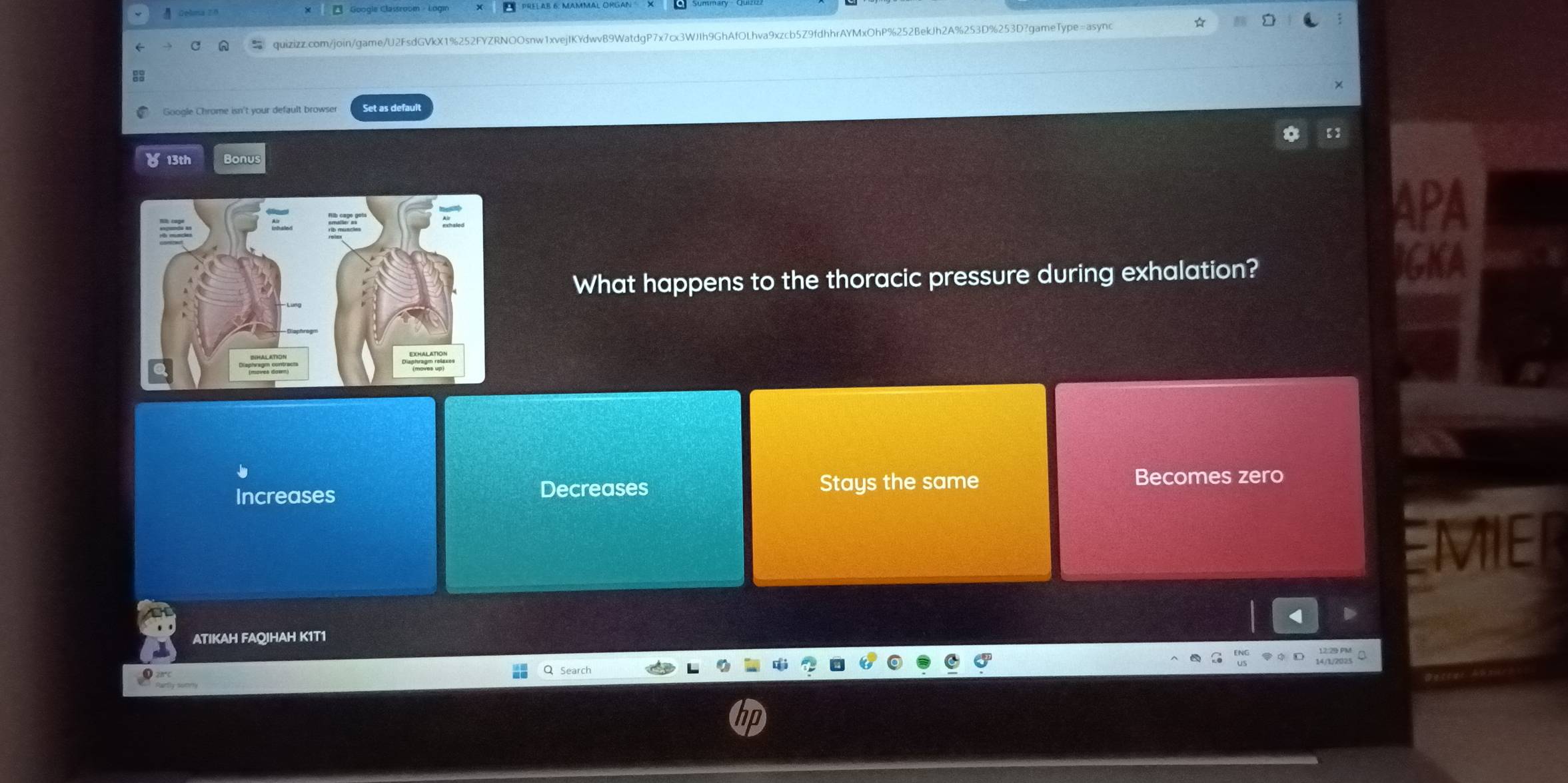 Set as default
13th Bonus
APA
What happens to the thoracic pressure during exhalation?
BGKA
Increases Decreases Stays the same
Becomes zero
EMIER
ATIKAH FAQJHAH K1T1
Search