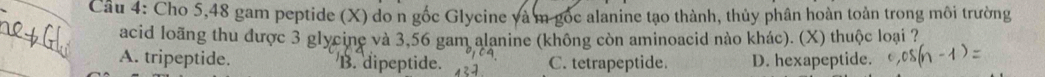 Cầu 4: Cho 5,48 gam peptide (X) do n gốc Glycine và m gốc alanine tạo thành, thủy phân hoàn toàn trong môi trường
acid loãng thu được 3 glycine và 3,56 gam alanine (không còn aminoacid nào khác). (X) thuộc loại ?
A. tripeptide. B. dipeptide. C. tetrapeptide. D. hexapeptide.