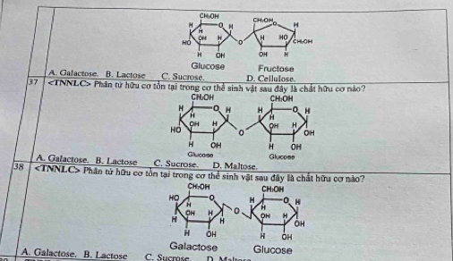 A. Galactose. B. Lactose C. Sucrose. D. Cellulose. 
37 Phân từ hữu cơ tổn tại trong cơ thể sinh vật sau đây là chất hữu cơ nào?
A. Galactose. B. Lactose ucrose.D. Maltose.
38 TNNLC> Phân tử hữu cơ tồn tại trong cơ thể sinh vật sau đây là chất hữu cơ nào?
A. Galactose. B. Lactose C. Sucmse