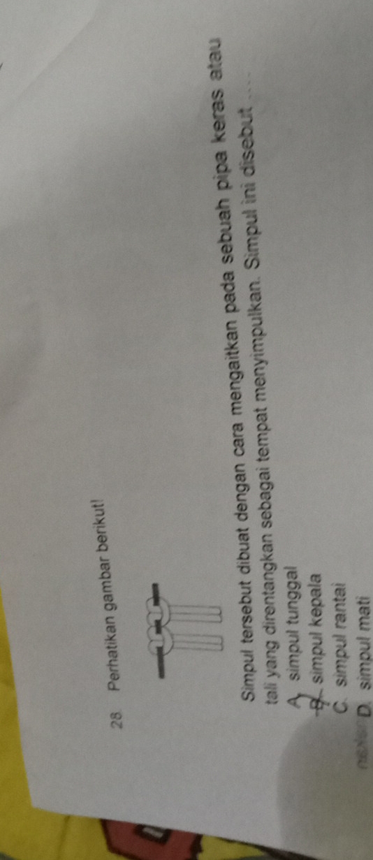 Perhatikan gambar berikut!
Simpul tersebut dibuat dengan cara mengaitkan pada sebuah pipa keras atau
tali yang direntangkan sebagai tempat menyimpulkan. Simpul ini disebut
A simpul tunggal
B simpul kepala
C. simpul rantai
ASNS D. simpul mati