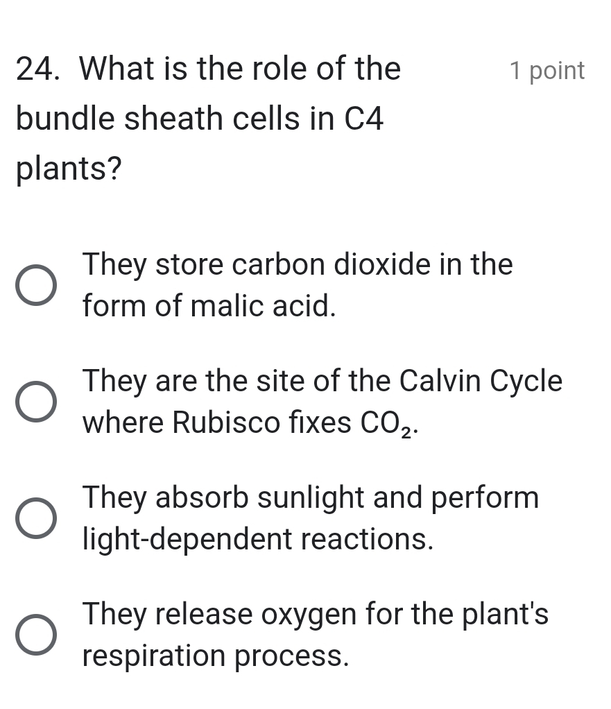 What is the role of the 1 point
bundle sheath cells in C4
plants?
They store carbon dioxide in the
form of malic acid.
They are the site of the Calvin Cycle
where Rubisco fixes CO_2.
They absorb sunlight and perform
light-dependent reactions.
They release oxygen for the plant's
respiration process.