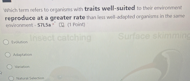 Which term refers to organisms with traits well-suited to their environment
reproduce at a greater rate than less well-adapted organisms in the same
environment - S7L5a * (1 Point)
Evolution Insect catching
Surface skimmin
Adaptation
Variation
Natural Selection