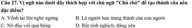 Vị ngữ nào dưới đây thích hợp với chủ ngữ "Chú chó" để tạo thành câu nêu
đặc điểm?
A. Vềnh tai lên nghe ngóng B. Là người bạn trung thành của con người
C. Nô đùa với quả bóng D. Rất tinh nghịch, đáng yêu