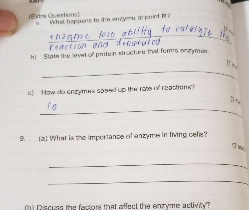 ALY 
(Extra Questions) 
v. What happens to the enzyme at point R? 
_ 
b) State the level of protein structure that forms enzymes. 
_ 
[1 m 
c) How do enzymes speed up the rate of reactions? 
1 
_ 
9. . (a) What is the importance of enzyme in living cells? 
[2 ma 
_ 
_ 
(b) Discuss the factors that affect the enzyme activity?