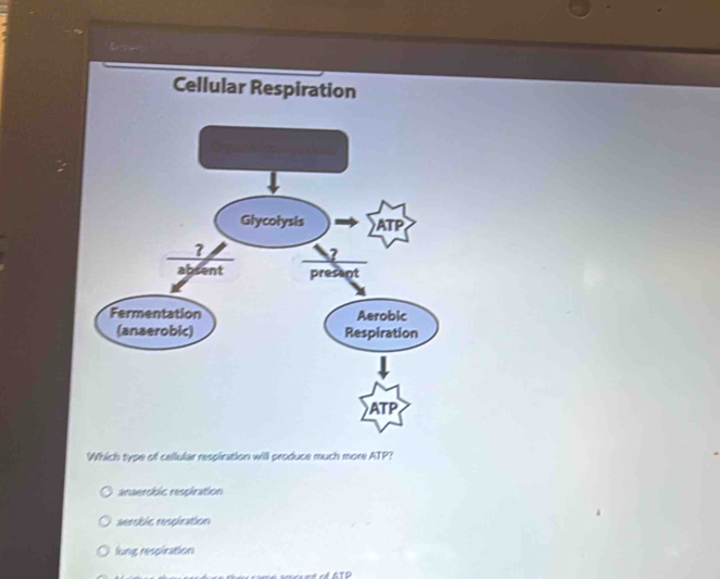 bor
Cellular Respiration
Which type of callular respiration will produce much more ATP?
anaembic respiration
aersbic respiration
lung respiration