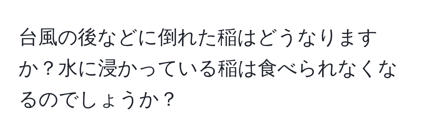 台風の後などに倒れた稲はどうなりますか？水に浸かっている稲は食べられなくなるのでしょうか？