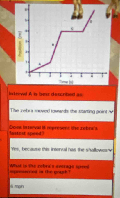 6
,.
c
E
1
.
2
3 A
.
3
j ;
Time (s)
Interval A is best described as:
The zebra moved towards the starting point 
Does interval B represent the zebra's
fastest speed?
Yes, because this interval has the shallowes 
What is the zebra's average speed
represented in the graph?
6 mph