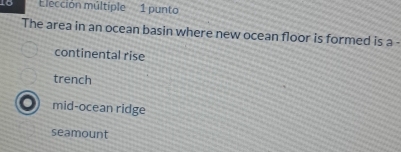 1o Elección múltiple 1 punto
The area in an ocean basin where new ocean floor is formed is a -
continental rise
trench
mid-ocean ridge
seamount