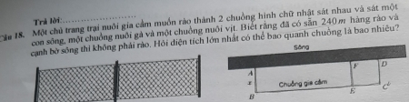 Trả lời:
Ma 18. Một chủ trang trai nuôi gia cầm muồn rào thành 2 chuồng hình chữ nhật sát nhau và sát một
con sông, một chuồng nuôi gà và một chuồng nuôi vịt. Biết rằng đã có sẵn_240 m hàng rào và