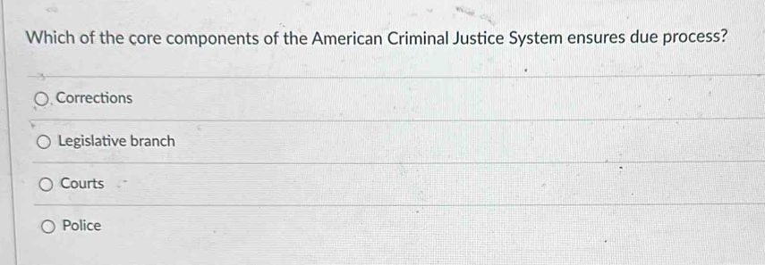 Which of the core components of the American Criminal Justice System ensures due process?
Corrections
Legislative branch
Courts
Police