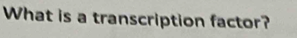 What is a transcription factor?