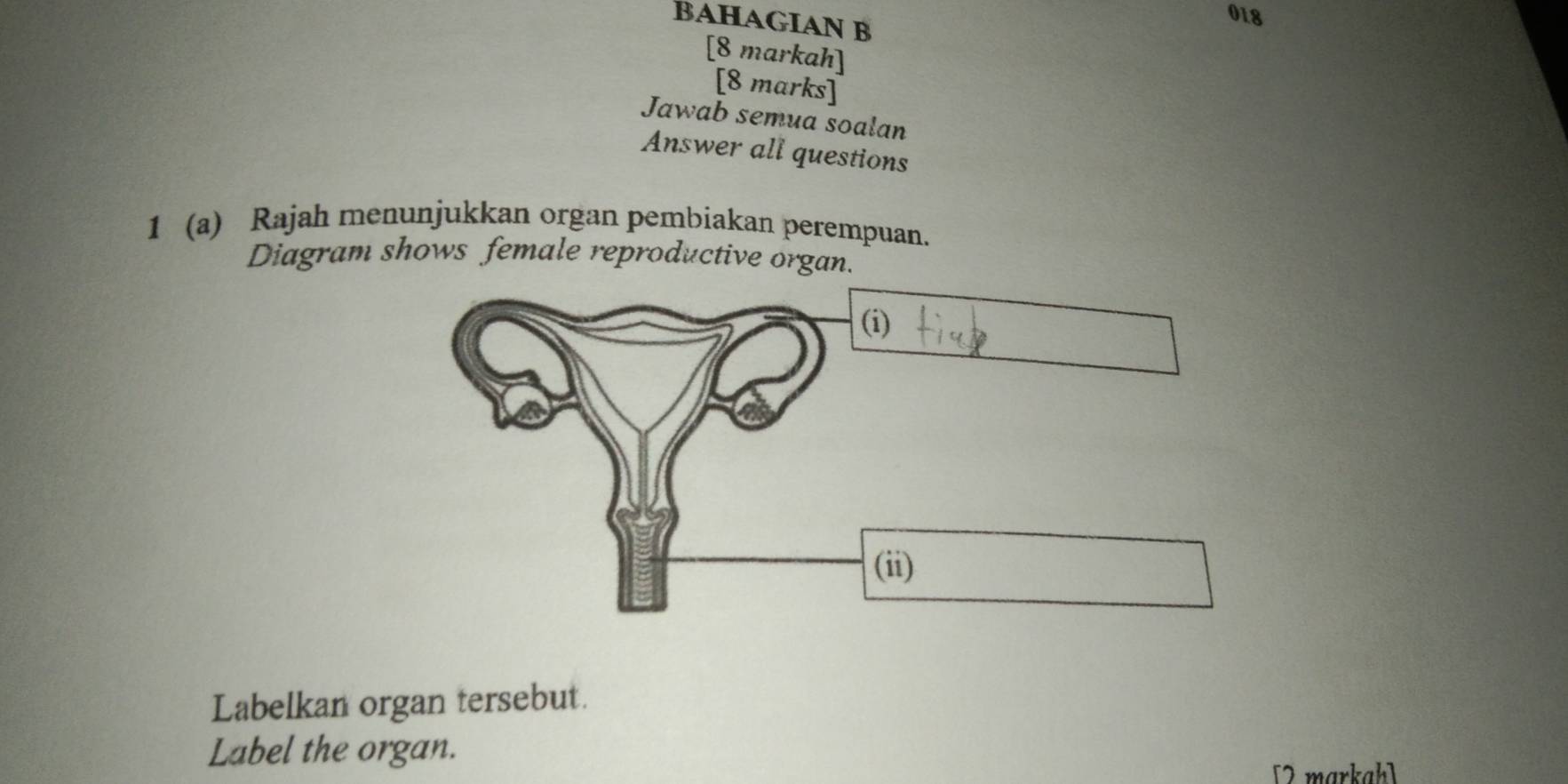 BAHAGIAN B 
018 
[8 markah] 
[8 marks] 
Jawab semua soalan 
Answer all questions 
1 (a) Rajah menunjukkan organ pembiakan perempuan. 
Diagram shows female reproductive organ. 
Labelkan organ tersebut. 
Label the organ. 
[2markah]