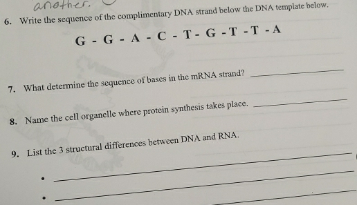 Write the sequence of the complimentary DNA strand below the DNA template below.
G-G-A-C-T-G-T-T-A
7. What determine the sequence of bases in the mRNA strand? 
_ 
8. Name the cell organelle where protein synthesis takes place. 
_ 
_ 
9. List the 3 structural differences between DNA and RNA. 
_ 
_