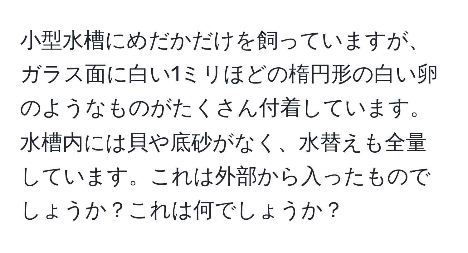 小型水槽にめだかだけを飼っていますが、ガラス面に白い1ミリほどの楕円形の白い卵のようなものがたくさん付着しています。水槽内には貝や底砂がなく、水替えも全量しています。これは外部から入ったものでしょうか？これは何でしょうか？