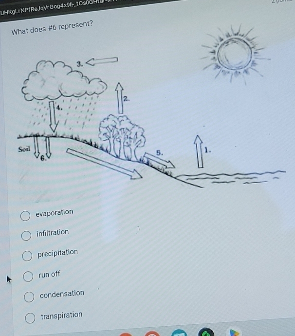 UHKgLrNPfReJqVrGog4x9Ij-_tOs0GH
What does #6 represent?
evaporation
infiltration
precipitation
run off
condensation
transpiration