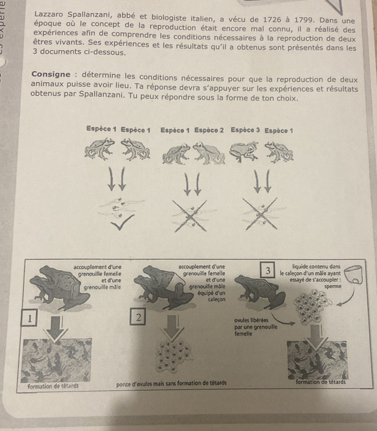 Lazzaro Spallanzani, abbé et biologiste italien, a vécu de 1726 à 1799. Dans une 
époque où le concept de la reproduction était encore mal connu, il a réalisé des 
expériences afin de comprendre les conditions nécessaires à la reproduction de deux 
êtres vivants. Ses expériences et les résultats qu'il a obtenus sont présentés dans les 
3 documents ci-dessous. 
Consigne : détermine les conditions nécessaires pour que la reproduction de deux 
animaux puisse avoir lieu. Ta réponse devra S' appuyer sur les expériences et résultats 
obtenus par Spallanzani. Tu peux répondre sous la forme de ton choix. 
Espèce 1 Espèce 1 Espèce 1 Espèce 2 Espèce 3 Espèce 1