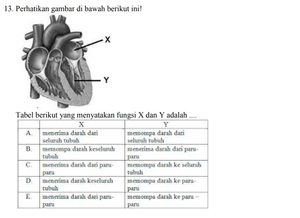 Perhatikan gambar di bawah berikut ini! 
Tabel berikut yang menyatakan fungsi X dan Y adalah ....