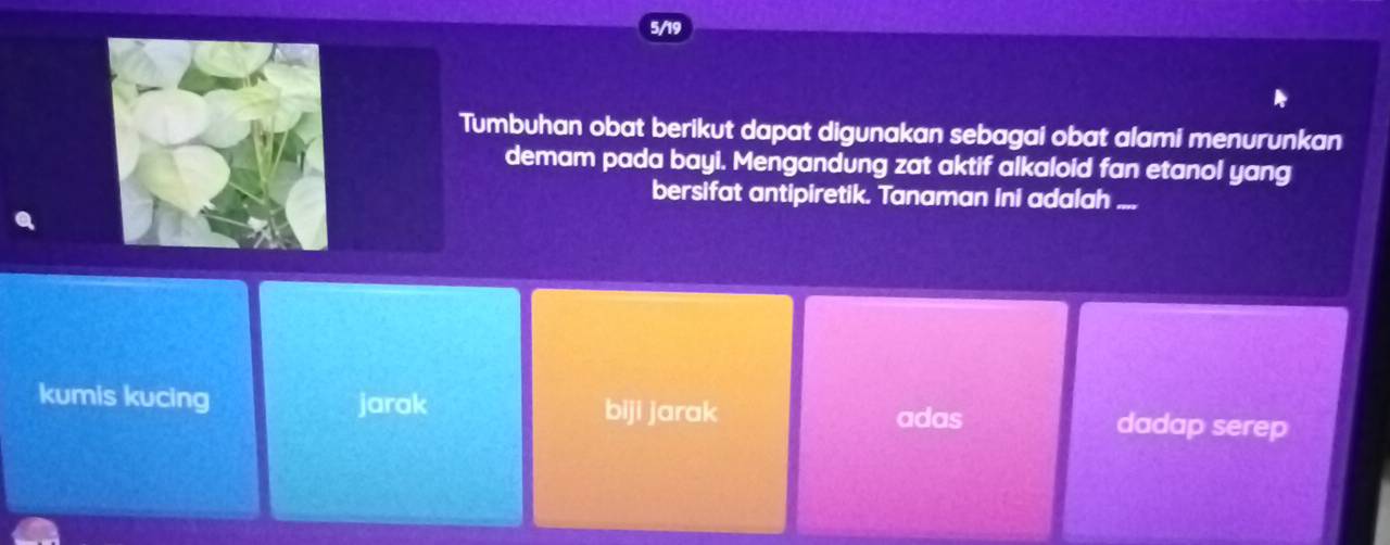 5/19
Tumbuhan obat berikut dapat digunakan sebagai obat alami menurunkan
demam pada bayi. Mengandung zat aktif alkaloid fan etanol yang
bersifat antipiretik. Tanaman ini adalah ....
kumis kucing jarak biji jarak adas dadap serep