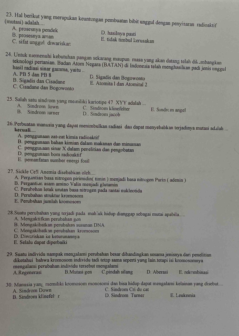 Hal berikut yang merupakan keuntungan pembuatan bibit unggul dengan penyinaran radioaktif
(mutasi) adalah....
A. prosesnya pendek D. hasilnya pasti
B. prosesnya aman E. tidak timbul kerusakan
C. sifat unggul diwariskan
24. Untuk memenuhi kebutuhan pangan sekarang maupun masa yang akan datang telah dikembangkan
teknologi pertanian. Badan Atom Negara (BATAN) di Indonesia telah menghasilkan padi jenis unggul
hasil radiasi sinar gamma, yaitu ..
A. PB 5 dan PB 8 D. Sigadis dan Bogowonto
B. Sigadis dan Cisadane E. Atomita l dan Atomital 2
C. Cisadane dan Bogowonto
25. Salah satu sindrom yang memiliki kariotipe 47 XYY adalah .
A. Sindrom down C. Sindrom klinefelter E. Sindro m angel
B. Sindrom turner D.. Sindrom jacob
26.Perbuatan manusia yang dapat menimbulkan radiasi dan dapat menyebabkan terjadinya mutasi adalah ...
kecuali....
A. penggunaan zat-zat kimia radioaktif
B. penggunaan bahan kimian dalam makanan dan minuman
C. penggunaan sinar X dalam penelitian dan pengobatan
D. penggunaan bom radioaktif
E. pemanfatan sumber energi fosil
27. Sickle Cell Anemia disebabkan oleh....
A. Pergantian basa nitrogen pirimidin( timin ) menjadi basa nitrogen Purin ( adenin )
B. Pergantian asam amino Valin menjadi glutamin
C. Perubahan letak urutan basa nitrogen pada rantai nukleotida
D. Perubahan struktur kromosom
E. Perubahan jumlah kromosom
28.Suatu perubahan yang terjadi pada mahʼuk hidup dianggap sebagai mutai apabila.. ..
A. Mengaktifkan perubahan gen
B. Mengakibatkan perubahan susunan DNA
C. Mengakibatkan perubahan kromosom
D. Diwariskan ke keturunannya
E. Selalu dapat diperbaiki
29. Suatu individu nampak mengalami perubahan besar dibandingkan sesama jenisnya.dari penelitian
diketahui bahwa kromosom individu tadi tetap sama seperti yang lain.tetapi isi kromosomnya
mengalami perubahan.individu tersebut mengalami
A.Regenerasi B.Mutasi gen C.pindah silang D. Aberasi E. rekombinasi
30. Manusia yang memiliki kromosom monosomi dan bisa hidup dapat mengalami kelainan yang disebut....
A. Sindrom Down C. Sindrom Cri du cat
B. Sindrom klinefel r D. Sindrom Turner E. Leukemia