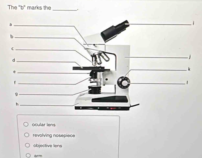 The "b" marks the _.
ocular lens
revolving nosepiece
objective Iens
arm