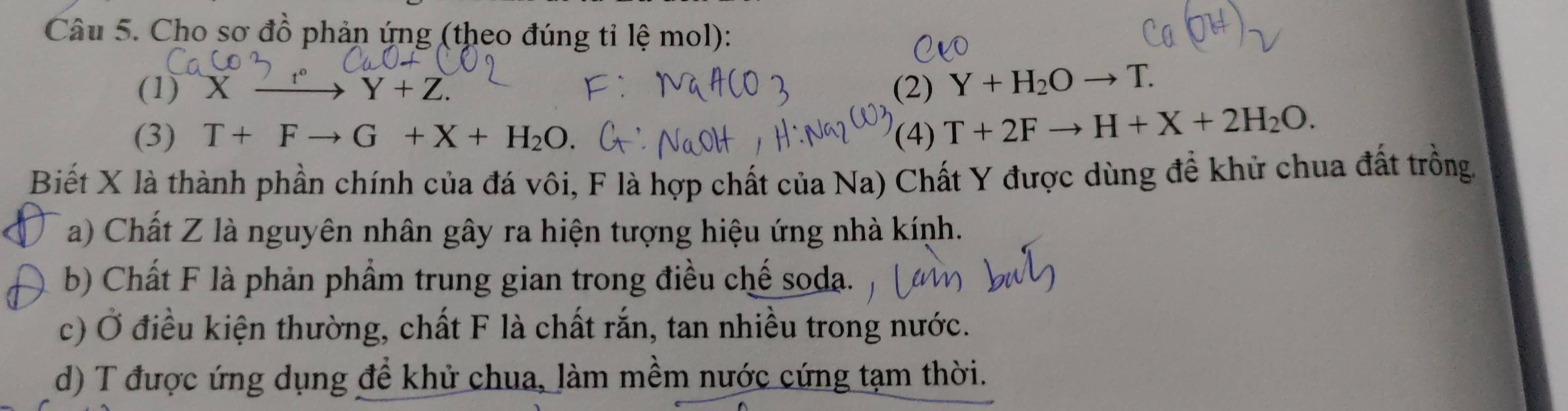 Cho sơ đồ phản ứng (theo đúng tỉ lệ mol):
(1) X t° Y+Z. (2) Y+H_2Oto T. 
(3) T+Fto G+X+H_2O. (4) T+2Fto H+X+2H_2O. 
Biết X là thành phần chính của đá vôi, F là hợp chất của Na) Chất Y được dùng để khử chua đất trồng.
a) Chất Z là nguyên nhân gây ra hiện tượng hiệu ứng nhà kính.
b) Chất F là phản phẩm trung gian trong điều chế soda.
c) Ở điều kiện thường, chất F là chất rắn, tan nhiều trong nước.
d) T được ứng dụng để khử chua, làm mềm nước cứng tạm thời.