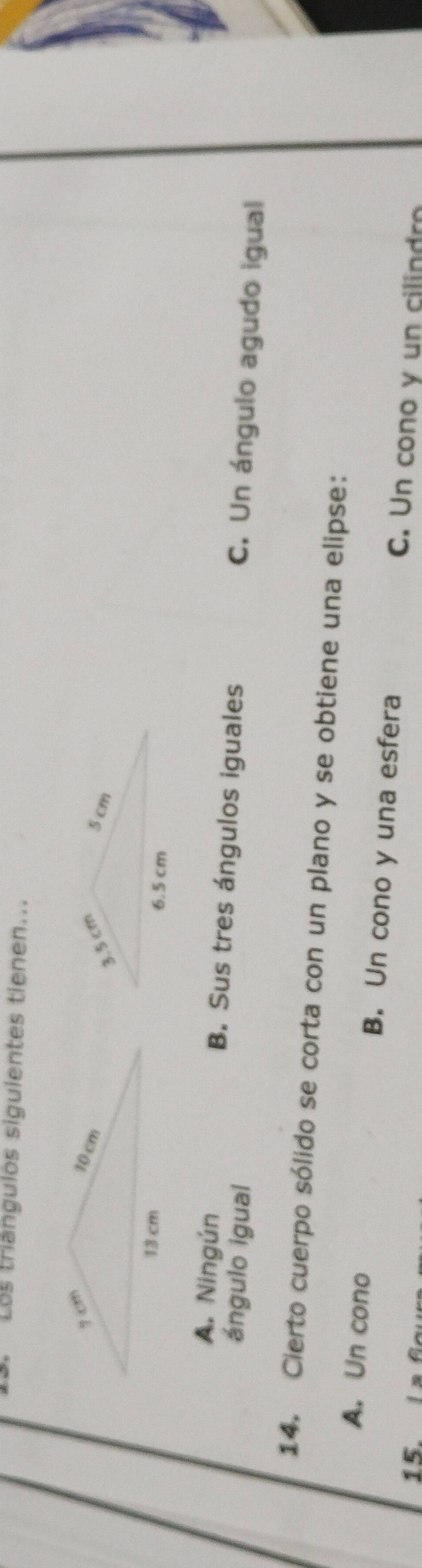 Los trángulos siguientes tienen...
A. Ningún B. Sus tres ángulos iguales C. Un ángulo agudo igual
ángulo igual
14. Cierto cuerpo sólido se corta con un plano y se obtiene una elipse:
A. Un cono B. Un cono y una esfera
15. a
C. Un cono y un cilindro