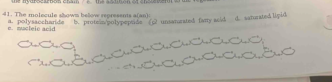 the hydrocarbon chain / e. the addition of cholesterol to the 
41. The molecule shown below represents a(an):
a. polysaccharide b. protein/polypeptide c unsaturated fatty acid d. saturated lipid
e. nucleic acid