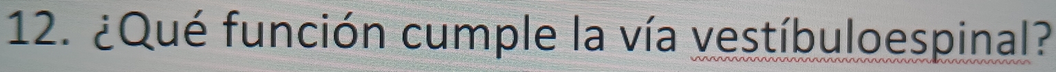 ¿Qué función cumple la vía vestíbuloespinal?