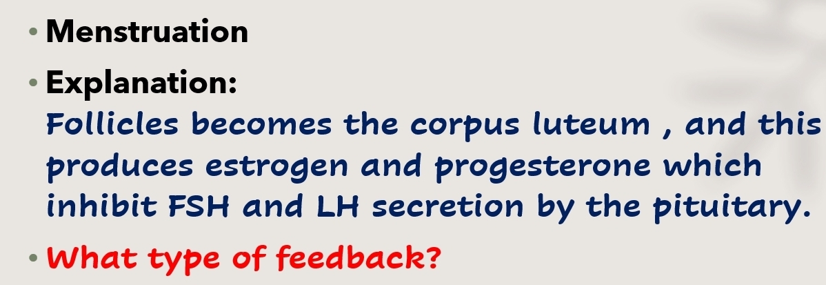 Menstruation 
Explanation: 
Follicles becomes the corpus luteum , and this 
produces estrogen and progesterone which 
inhibit FSH and LH secretion by the pituitary. 
What type of feedback?