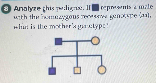 Analyze this pedigree. If I represents a male 
with the homozygous recessive genotype (α @), 
what is the mother’s genotype?