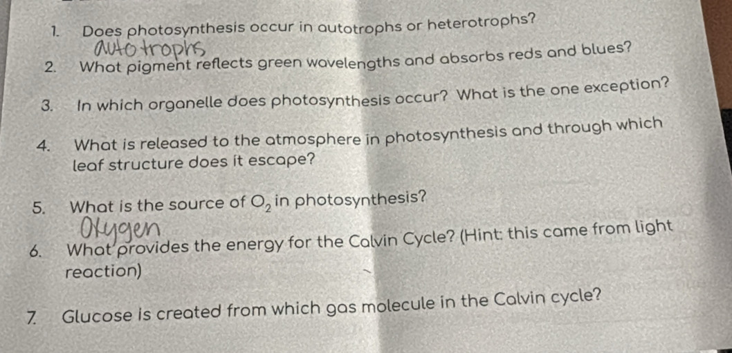 Does photosynthesis occur in autotrophs or heterotrophs? 
2. What pigment reflects green wavelengths and absorbs reds and blues? 
3. In which organelle does photosynthesis occur? What is the one exception? 
4. What is released to the atmosphere in photosynthesis and through which 
leaf structure does it escape? 
5. What is the source of O_2 in photosynthesis? 
6. What provides the energy for the Calvin Cycle? (Hint: this came from light 
reaction) 
7 Glucose is created from which gas molecule in the Calvin cycle?