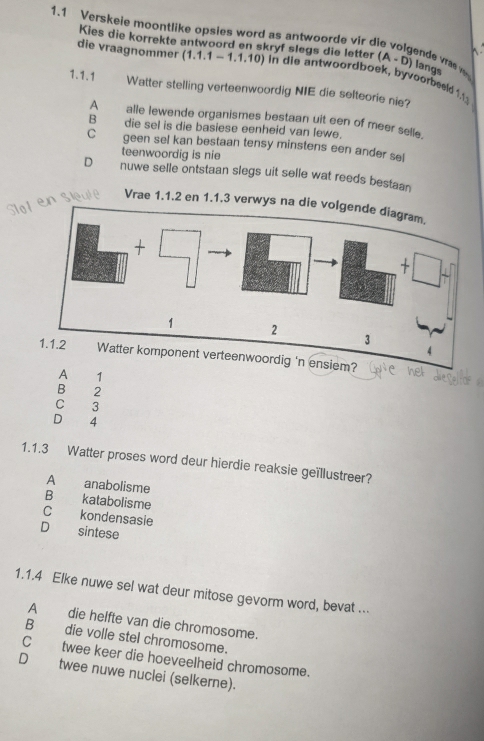 1.1 Verskeie moontlike opsles word as antwoorde vir d
Kies die korrekte antwoord en skryf slegs die letter (A-D) langs
ende vráe 
die vraagnommer (1 1.1-1.1 .10) in die antwoordboek, byvoorbeeld 
1.1.1 Watter stelling verteenwoordig NIE die selteorie nie?
A alle lewende organismes bestaan uit een of meer selle.
B die sel is die basiese eenheid van lewe.
C geen sel kan bestaan tensy minstens een ander sel
teenwoordig is nie
D nuwe selle ontstaan slegs uit selle wat reeds bestaan
lotn sleute Vrae 1.1.2 en 1.1.3 verwys na
ensiem?
A 1
B 2
C 3
D 4
1.1.3 Watter proses word deur hierdie reaksie geïllustreer?
A anabolisme
B katabolisme
Cí kondensasie
D₹ sintese
1.1.4 Elke nuwe sel wat deur mitose gevorm word, bevat ...
A die helfte van die chromosome.
Bdie volle stel chromosome.
C_twee keer die hoeveelheid chromosome.
D_ twee nuwe nuclei (selkerne).