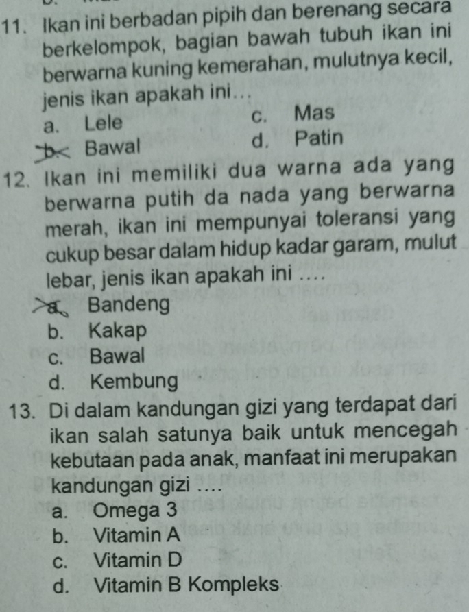 Ikan ini berbadan pipih dan berenang secara
berkelompok, bagian bawah tubuh ikan ini
berwarna kuning kemerahan, mulutnya kecil,
jenis ikan apakah ini...
a. Lele c. Mas
b. Bawal d. Patin
12. Ikan ini memiliki dua warna ada yang
berwarna putih da nada yang berwarna
merah, ikan ini mempunyai toleransi yang
cukup besar dalam hidup kadar garam, mulut
lebar, jenis ikan apakah ini ...
a、Bandeng
b. Kakap
c. Bawal
d. Kembung
13. Di dalam kandungan gizi yang terdapat dari
ikan salah satunya baik untuk mencegah
kebutaan pada anak, manfaat ini merupakan
kandungan gizi ....
a. Omega 3
b. Vitamin A
c. Vitamin D
d. Vitamin B Kompleks