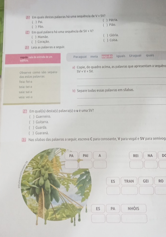 Em quais destas palavras há uma sequência de V+SV? 
( ) Pai. ( ) Pátria.
(
( ) Pão. ) Pião.
Em qual palavra há uma sequência de SV+V
( ) Mamãe. ( ) Glória.
(
( ) Coração. ) Coisa.
€ Leia as palavras a seguir.
u o l de entrada de um Paraguai meia saguão iguais Uruguai quais
edifício.
a) Copie, do quadro acima, as palavras que apresentam a sequêno
Observe como são separa- SV+V+SV. 
das estas palavras:
_
_
feia: fei-a
teia: tei-a
saia: sai-a b) Separe todas essas palavras em sílabas.
veia: vei-a
_
_
Em qual(is) desta(s) palavra(s) o u é uma SV?
( ) Guerreiro.
( ) Guitarra.
  Guarda.
( ) Guaraná.
17 Nas sílabas das palavras a seguir, escreva C para consoante, V para vogal e SV para semivog
PA PAI A REI NA DC
ES TRAN GEI RO
ES PA nhóis