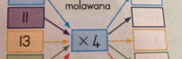 molawana 
||
5x
* 4