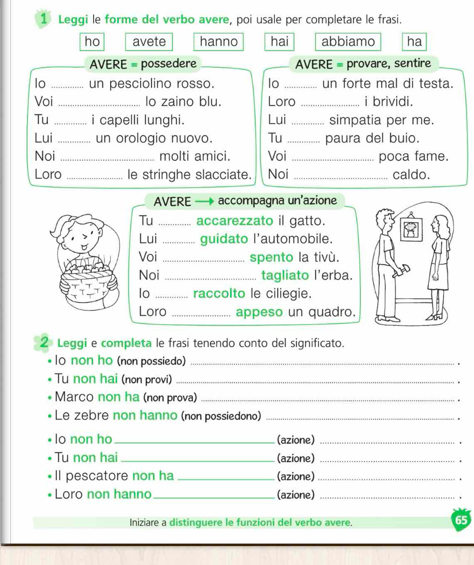 Leggi le forme del verbo avere, poi usale per completare le frasi. 
ho avete hanno hai abbiamo ha 
AVERE = possedere _ AVERE = provare, sentire 
lo _un pesciolino rosso. lo _un forte mal di testa. 
Voi _lo zaino blu. Loro _i brividi. 
Tu _i capelli lunghi. Lui _simpatia per me. 
Lui _un orologio nuovo. Tu _paura del buio. 
Noi _molti amici. Voi _poca fame. 
Loro _le stringhe slacciate. Noi _caldo. 
AVERE accompagna un’azione 
Tu _accarezzato il gatto. 
Lui _guidato l'automobile. 
Voi _spento la tivù. 
Noi _tagliato l'erba. 
lo _raccolto le ciliegie. 
Loro _appeso un quadro. 
2 Leggi e completa le frasi tenendo conto del significato. 
lo non ho (non possiedo)_ 
Tu non hai (non provi)_ 
Marco non ha (non prova)_ 
Le zebre non hanno (non possiedono)_ 
lo non ho_ (azione)_ 
• Tu non hai_ (azione)_ 
Il pescatore non ha _(azione)_ 
Loro non hanno_ (azione)_ 
Iniziare a distinguere le funzioni del verbo avere. 
65