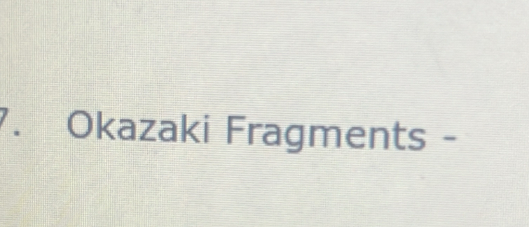 Okazaki Fragments -