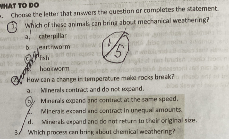 HAT TO DO
A. Choose the letter that answers the question or completes the statement.
1. Which of these animals can bring about mechanical weathering?
a. caterpillar
b. earthworm
o fish
hookworm
2X How can a change in temperature make rocks break?
a. Minerals contract and do not expand.
b) Minerals expand and contract at the same speed.
c. Minerals expand and contract in unequal amounts.
d. Minerals expand and do not return to their original size.
3 Which process can bring about chemical weathering?