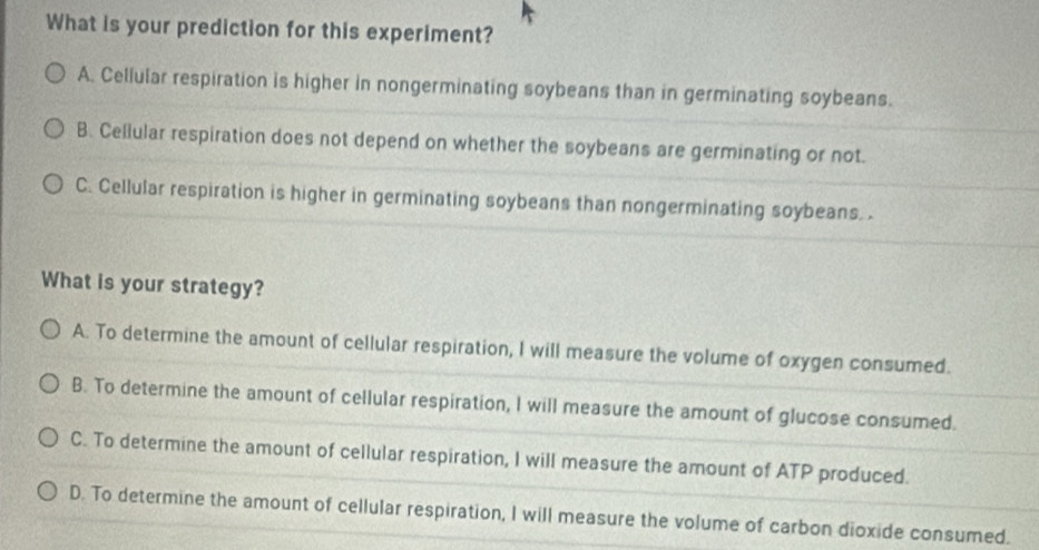 What is your prediction for this experiment?
A. Cellular respiration is higher in nongerminating soybeans than in germinating soybeans.
B. Cellular respiration does not depend on whether the soybeans are germinating or not.
C. Cellular respiration is higher in germinating soybeans than nongerminating soybeans. .
What is your strategy?
A. To determine the amount of cellular respiration, I will measure the volume of oxygen consumed.
B. To determine the amount of cellular respiration, I will measure the amount of glucose consumed.
C. To determine the amount of cellular respiration, I will measure the amount of ATP produced.
D. To determine the amount of cellular respiration, I will measure the volume of carbon dioxide consumed.