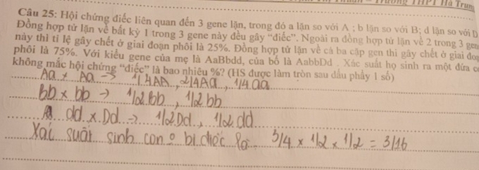 Hội chứng điếc liên quan đến 3 gene lặn, trong đó a lặn so với A; b lặn so với B; d lặn so với D 
Đồng hợp tử lặn về bắt kỳ 1 trong 3 gene này đều gây “điễc”. Ngoài ra đồng hợp tử lặn về 2 trong 3 gem 
này thì tỉ lệ gây chết ở giai đoạn phối là 25%. Đồng hợp tử lặn về cá ba cập gen thì gây chết ở giai đoi 
phối là 75%. Với kiểu gene của mẹ là AaBbdd, của bố là AabbDd . Xác suất họ sinh ra một đứa có 
không mắc hội chứng “diệc” là bao nhiêu %? (HS được làm tròn sau dầu phẩy 1 số) 
_ 
_ 
_ 
_ 
_ 
_ 
_ 
_ 
_ 
_ 
_ 
_
