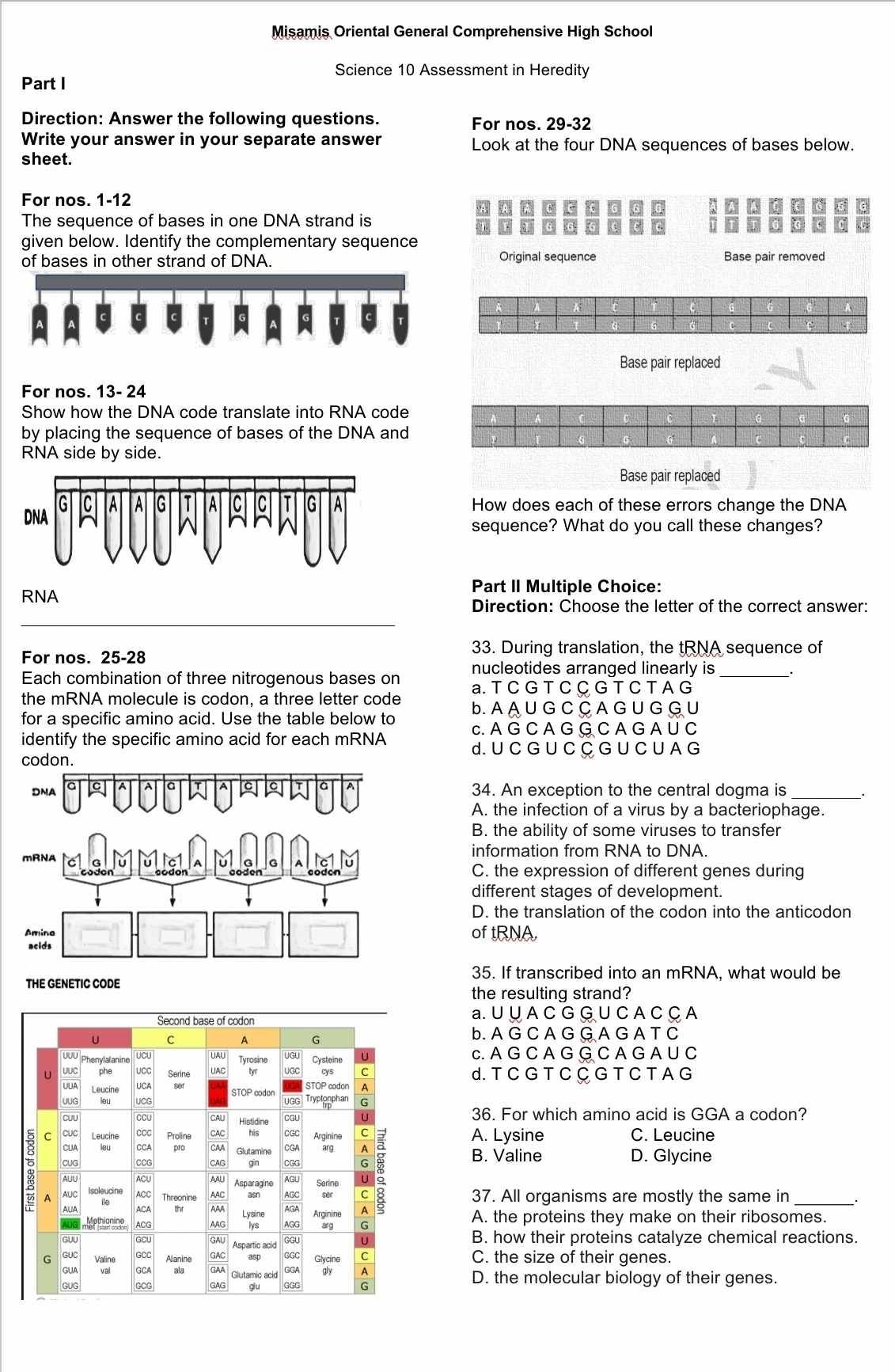 Misamis Oriental General Comprehensive High School
Science 10 Assessment in Heredity
Part I
Direction: Answer the following questions. For nos. 29-32
Write your answer in your separate answer Look at the four DNA sequences of bases below.
sheet.
For nos. 1-12
The sequence of bases in one DNA strand is
given below. Identify the complementary sequence
of bases in other strand of DNA. Original sequence Base pair removed
K
Base pair replaced
For nos. 13- 24
Show how the DNA code translate into RNA code
by placing the sequence of bases of the DNA and
RNA side by side.
Base pair replaced
How does each of these errors change the DNA
sequence? What do you call these changes?
Part II Multiple Choice:
RNA
Direction: Choose the letter of the correct answer:
For nos. 25-28
33. During translation, the tRNA sequence of
nucleotides arranged linearly is
Each combination of three nitrogenous bases on a. T C G T C C G T C T A G_
the mRNA molecule is codon, a three letter code b. A A U G C Ç A G U G G U
for a specific amino acid. Use the table below to c. A G C A G G C A G A U C
identify the specific amino acid for each mRNA
d. U C G U C Ç G U C U A G
codon.
a A 。 a
DNA 34. An exception to the central dogma is
A. the infection of a virus by a bacteriophage.
B. the ability of some viruses to transfer
information from RNA to DNA.
mRNA C 1c1
A G
C. the expression of different genes during
different stages of development.
D. the translation of the codon into the anticodon
Amino of tRNA,
acids
35. If transcribed into an mRNA, what would be
THE GENETIC CODE
the resulting strand?
a. U ∪ A C G G U C A C Ç A
b. A G C A G G A G A T C
c. A G C A G G C A G A U C
d. T C G T C C G T C T A G
36. For which amino acid is GGA a codon?
A. Lysine C. Leucine
B. Valine
D. Glycine
37. All organisms are mostly the same in
A. the proteins they make on their ribosomes.
B. how their proteins catalyze chemical reactions.
C. the size of their genes.
D. the molecular biology of their genes.