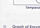 Tempera 
Graph of Enzyn