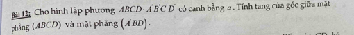 Cho hình lập phương . ABCD· A'B'C'D' có cạnh bằng a. Tính tang của góc giữa mặt 
phẳng (ABCD) và mặt phẳng (ABD).