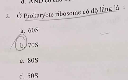 Ở Prokaryote ribosome có độ lắng là :
a. 60S
b, 70S
c. 80S
d. 50S