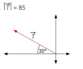 |vector T|=85