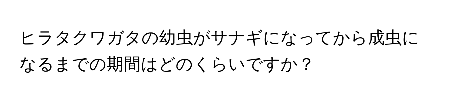 ヒラタクワガタの幼虫がサナギになってから成虫になるまでの期間はどのくらいですか？