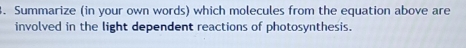 Summarize (in your own words) which molecules from the equation above are 
involved in the light dependent reactions of photosynthesis.