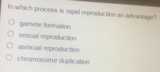 In which process is rapid reproduction an advantage?
gamete formation
sexual reproduction
asexual reproduction
chromosome duplication