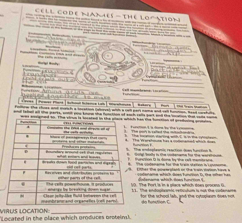 CELL CODE NANES - THE LO ATION
ro coling the t ontiotn home the pedos hond a fot of lcstions with the lors of ceepacts csteed amn
i hant t he replaced the nomc of warn bs ston sih the name of a sell part i ls a luret co rome 
e  the th6s note , this we as is stuaned as this poere shich weas the honrton at cemfating crakeen. Ten him
bo ld and 1hst ti mucieles wn the teners toeien at that es lak afriwty ben tome for w 
l the coses on thie bisson of the page in fod the cante pase of each rostion. Mbasch a lecation won a sil
eaik cn ak call ful ctian (hated 
Cotamaeie Rticuloro Loona
Full Ves ___ Mitesfrita: Locazón
_
unction
Naetbar
_
Lécation Foreat hidesnt
_
Functioni Comsins DNA and directs __Lecation   omom   
the cells actraty
_
_
Golgí Body Puntign_
Lacation
_
_
_u c tion _Cyuplati (ecation
Function
_
Centríales
_
_
_
_
Riboxome: Location: _ Cell membrané: location
unetion
_
_
Function
_
Caves Power Plant School Science Lab Warehouse Bakery Port Old Train Station
f ollow the clues and match a location (above) with a cell part name and cell function. Read carefully.
and label all the parts, until you know the function of each cells part and the location that code name
has the function of producing proteins.
nction E is done by the Lysasame.
e port is called the mitochondria.
he location starting with C is in the cytoplasm.
he Warehouse has a codenamed which does
unction F.
he endoplasmic reaction does function B
Golgi body is the codename for the warehouse.
Function D is done by the cell membrane.
The codename for the train station is Lysosome.
Elther the powerplant or the train station have a
codename which does function D, the other has
codename which does function E.
. The Port is in a place which does process G.
1. The endoplasmic reticulum is not the codename
for the school lab, and the cytoplasm does not
do function C.
VIRUS LOCATION:_
(Located in the place which produces proteins).