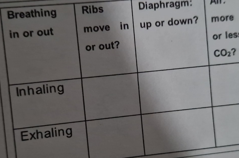 Diaphragm: All.
e
s
?